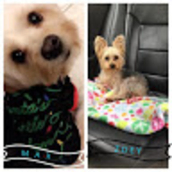 Meet your Posher, Zoeyandmaxt.v - Picture 1 of 1